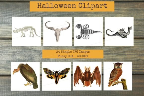Download Mixed Images - Vintage Halloween Clipart - Vintage Collection
