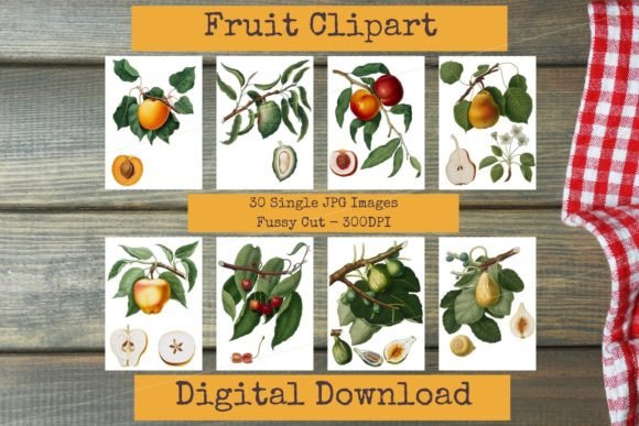 Download Mixed Fruits - Vintage Botanical Clipart - Vintage Collection